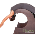 flexx.png